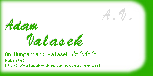 adam valasek business card